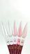 Acryl Gel - Без ТРО Steffani 30 ml. (Баночка) №1 - Прозорий SAGelb30-01 фото 4