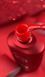 TOP COLOR Roks (8 ml) №1 TOPCOLORROKS1 фото 2