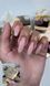 Light Acryl Gel Steffani 10 ml (Рідкий Акрил гель) №3 steflightacryl3 фото 2