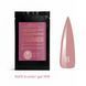 Sachet Builder Gel 15ml. №8 SSBGel15-08 фото 1