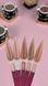 Sachet Builder Gel 30ml. №48 SSBGel30-48 фото 4