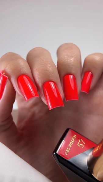 Гель лак - Без ТРО Steffani Color Gel polish №57 (9мл) - Кораловий SGP09-57 фото