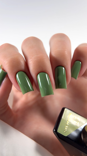 Гель лак - Без ТРО Steffani Color Gel polish №13 (9мл) - Оливковий SGP09-13 фото