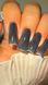Gel Polish Starlight Steffani 9ml. №1 starlightgel1 фото 3